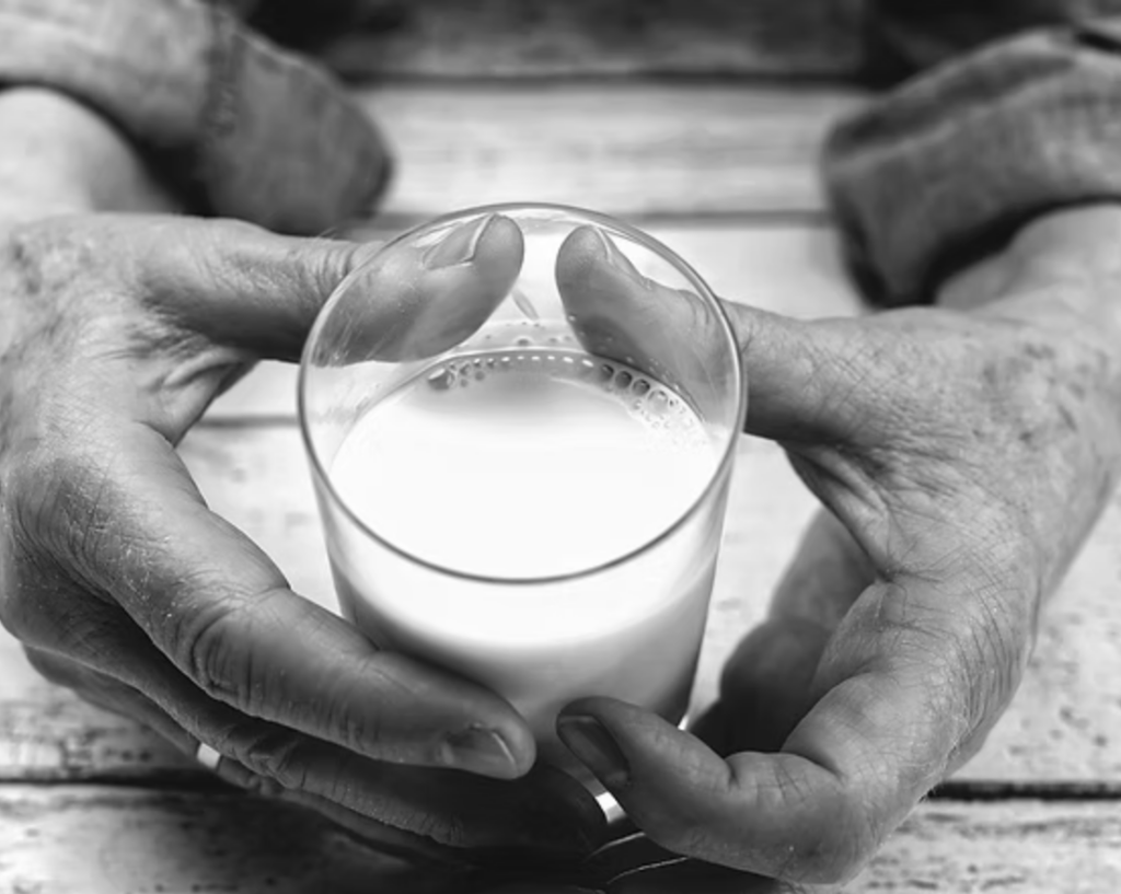 Pienas ir jo produktai: nauda ar žala? Moksliniai ir ajurvediniai požiūriai