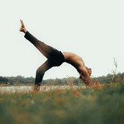 Holistinis apie